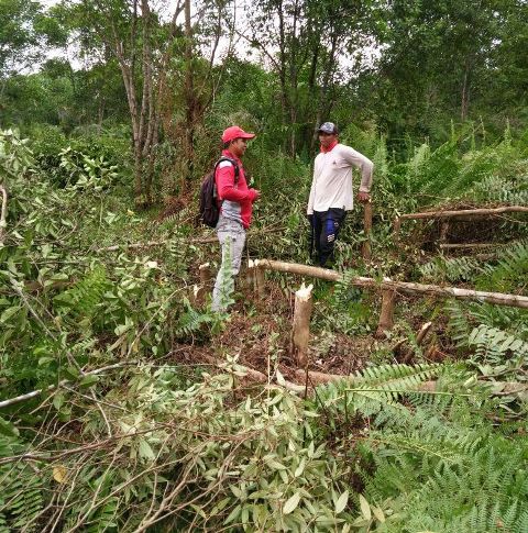 Kesabaran Pemuda Ini Cegah Karhutla Berbuah Manis